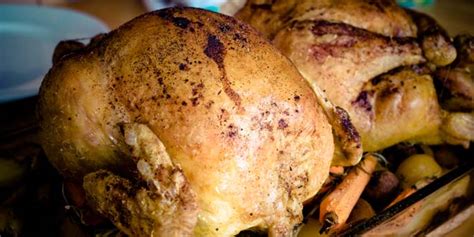 chicken-vs-turkey-difference-and-comparison-diffen image