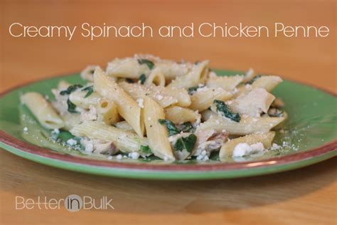 creamy-spinach-and-chicken-penne-food-fun-family image