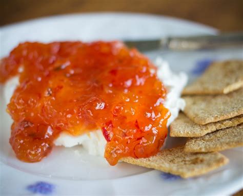cream-cheese-and-pepper-jelly-dip-recipes-thriftyfun image