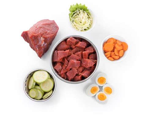 13-balanced-homemade-dog-food-recipes-top-dog image