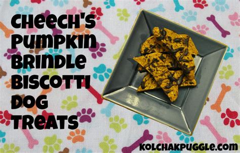 cheechs-pumpkin-brindle-biscotti-dog-treat image