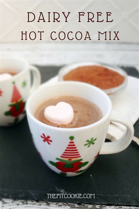 dairy-free-hot-chocolate-mix-vegan-the-fit-cookie image