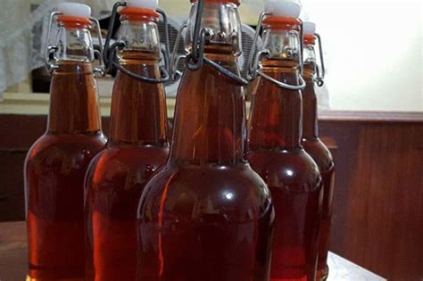 honey-mead-recipe-an-easy-one-gallon image