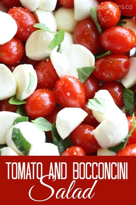 tomato-and-bocconcini-salad-or-appetizer-happy image