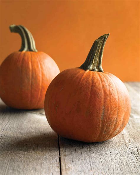 the-best-fresh-pumpkin-recipes-for-fall-martha-stewart image