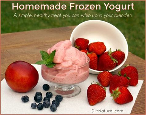 homemade-frozen-yogurt-recipe-a-simple image
