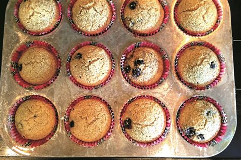 blueberry-oat-bran-muffins-recipe-dairy-free-gluten-free image