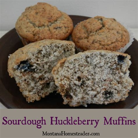 sourdough-huckleberry-muffins image