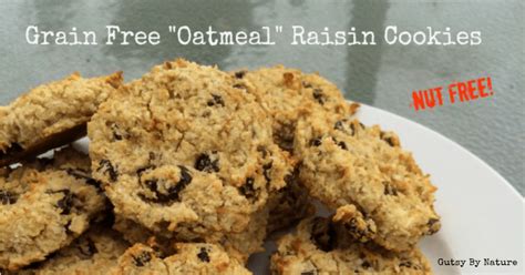 not-oatmeal-raisin-cookies-grain-free-dairy-free image