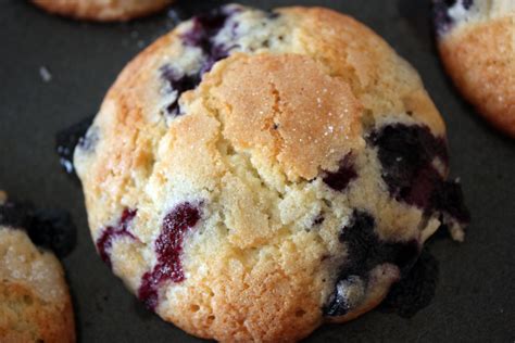 buttermilk-blueberry-muffins-tasty-kitchen image