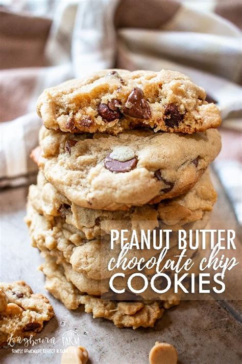 easy-peanut-butter-chocolate-chip-cookies-longbourn image