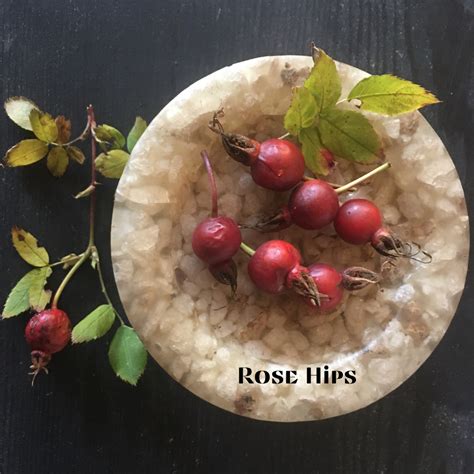 easy-rose-hip-recipes-health-remedies-living-to-giving image