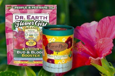 7-best-hibiscus-fertilizers-how-and-when-to-use-them image