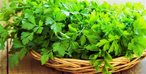 parsley-benefits-nutrition-facts-uses-and-recipes-dr-axe image