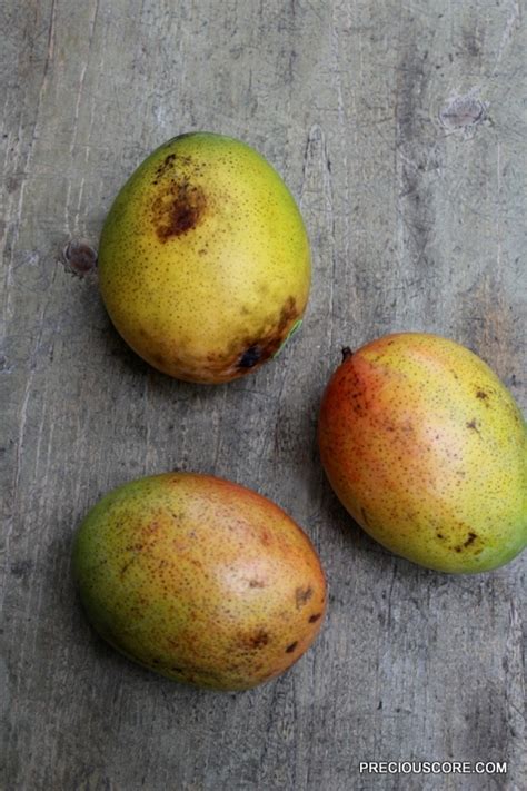 mango-coconut-sorbet-precious-core image