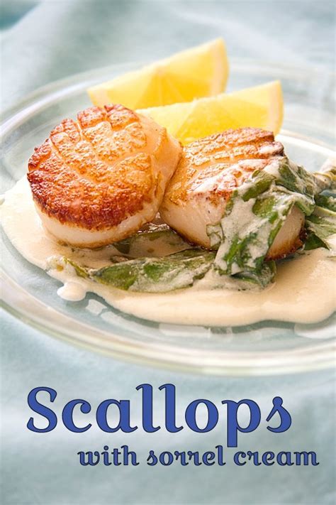 scallops-with-sorrel-cream-la-troisgros-sippitysup image