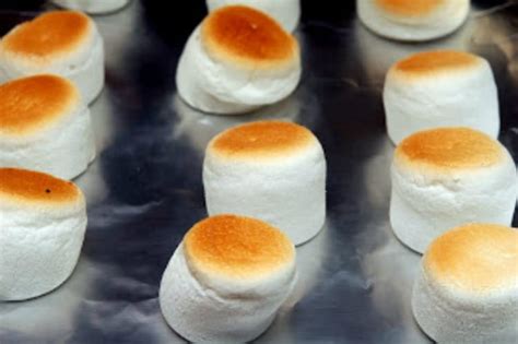 toasted-marshmallow-chocolate-malted image