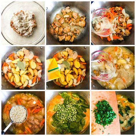spring-chicken-vegetable-stew image