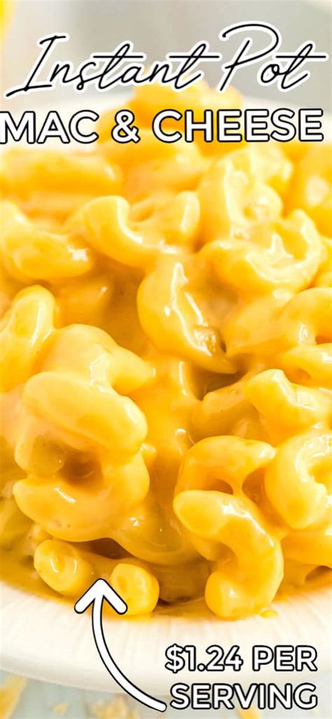 instant-pot-mac-and-cheese-easy-budget image