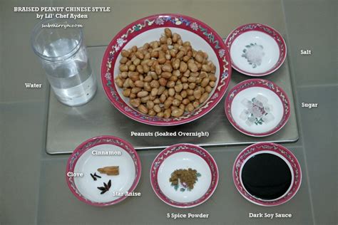 cook-with-ayden-braised-peanut-chinese-style image