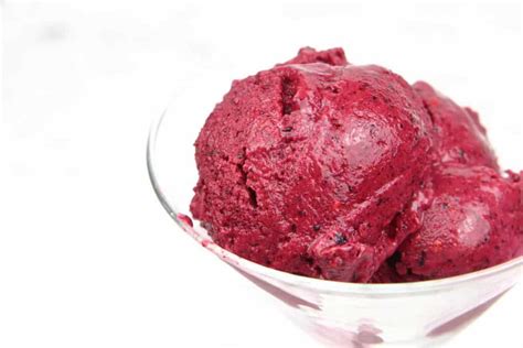 triple-berry-fruit-sorbet-system-of-a-brown image