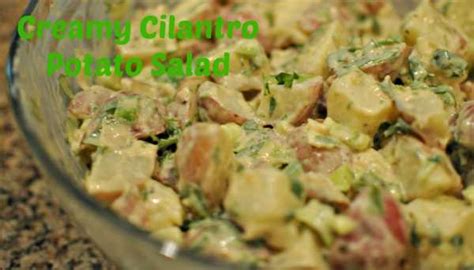 creamy-cilantro-potato-salad-beckys-best-bites image