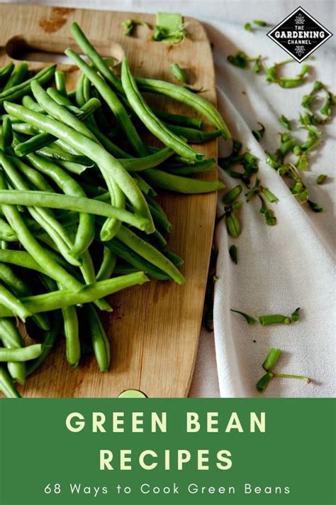 68-ways-to-use-fresh-green-beans-you-grow-in-your image