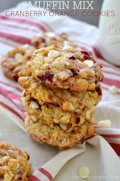 muffin-mix-cranberry-orange-cookies-my-trip-to-ifbc image