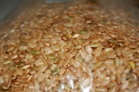 brown-rice-wikipedia image