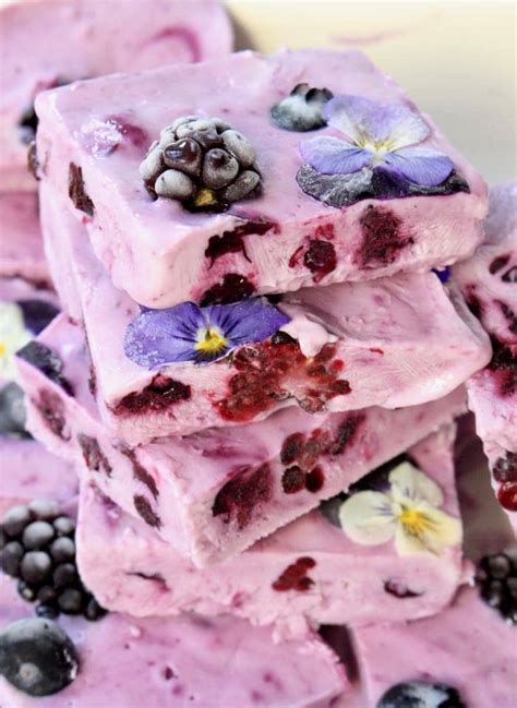 frozen-yogurt-bars-recipe-ciao-florentina image