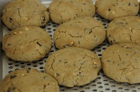 pudding-sugar-cookies-recipe-recipesnet image
