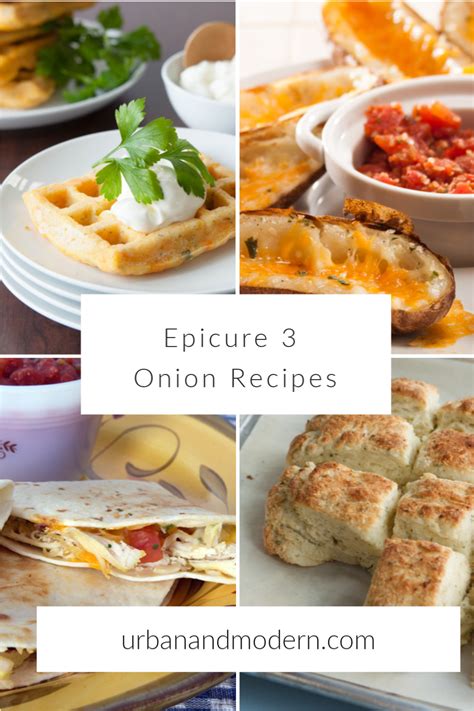 epicure-3-onion-dip-recipes-urban-modern-epicure-blog image