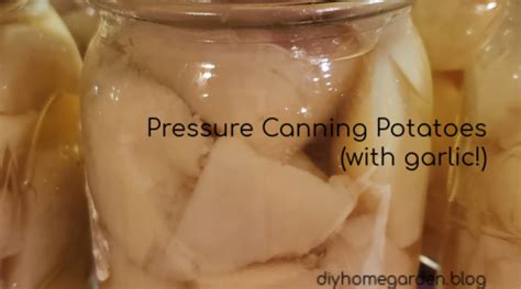 pressure-canning-potatoes-with-garlic-recipe-guide image