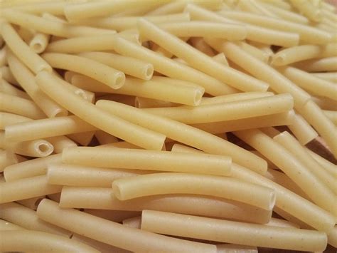 macaroni-wikipedia image
