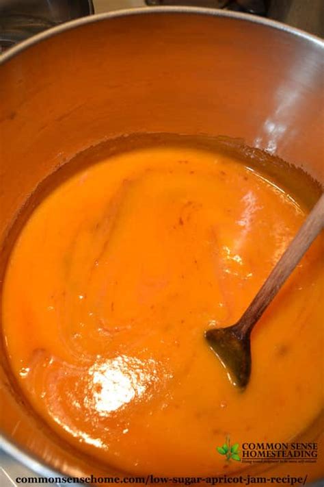 low-sugar-apricot-jam-recipe-sweeten-with-sugar image