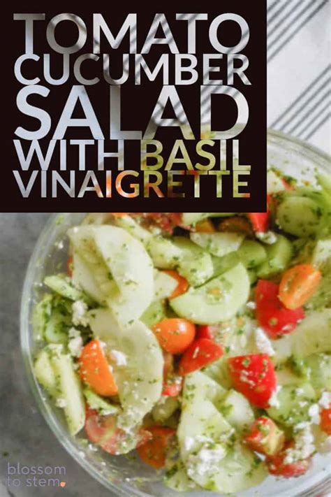 tomato-cucumber-salad-with-basil-vinaigrette-blossom image
