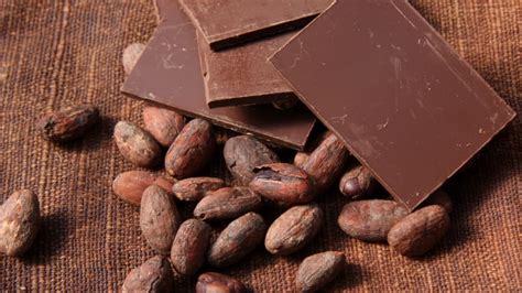 history-of-chocolate-cocoa-beans-xocolatl-history image