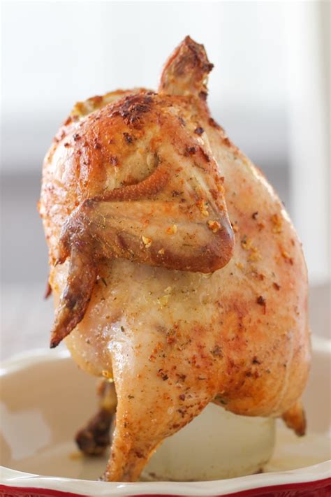 vertical-roasted-chicken-olgas-flavor-factory image