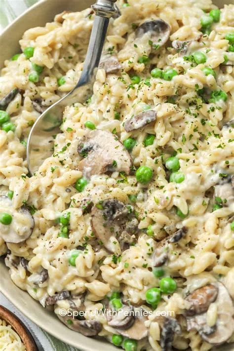 creamy-stovetop-mushroom-orzo-spend-with-pennies image