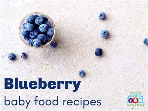 yummy-blueberry-baby-food-recipes-for-your-little image