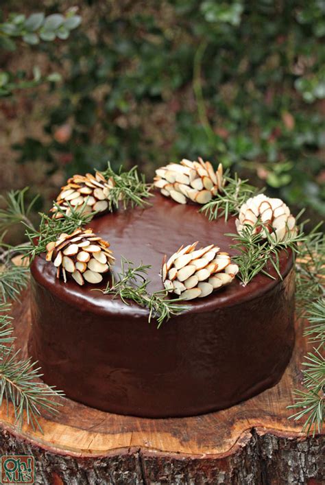 how-to-make-chocolate-pine-cones-oh-nuts-blog image