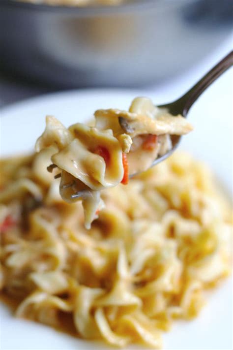 cheesy-chicken-noodle-casserole-nina-kneads-to-bake image