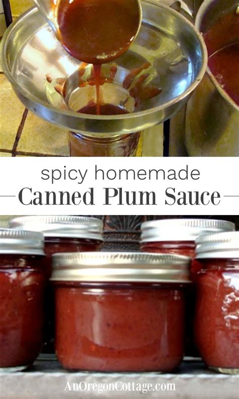 spicy-canned-plum-sauce-recipe-an-oregon-cottage image