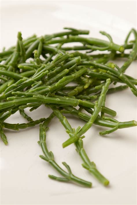 how-to-cook-samphire-great-british-chefs image
