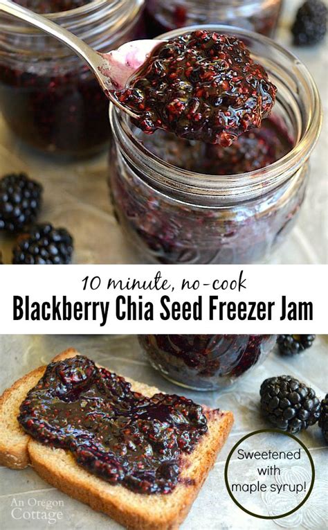 chia-seed-no-cook-blackberry-freezer-jam image
