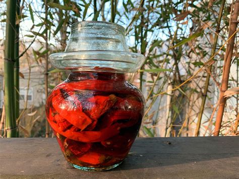 making-sichuan-pickled-peppers-pao-la-jiao image