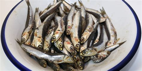 the-anchovies-of-italy-great-italian-chefs image