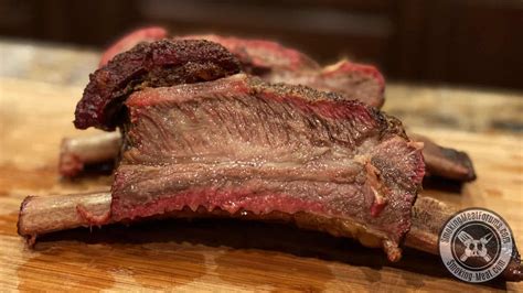 smoked-beef-dino-ribs-learn-to-smoke-meat-with image