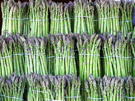 asparagus-wikipedia image