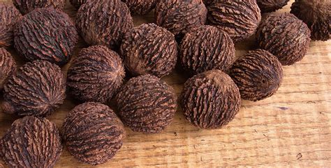 black-walnut-benefits-uses-and-nutrition-facts-dr-axe image